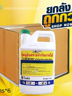 (ยกลัง6แกลลอน) ไกลโฟเซต48 ตราโซตัส ขนาด 4 ลิตร สารกำจัดวัชพืช กำจัดวัชพืชใบแคบ วัชพืชใบกว้างประเภทดูดซึม