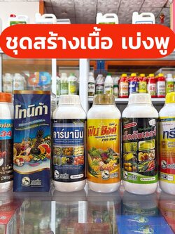 ชุดสร้างเนื้อ สร้างพู เบ่งพู - ปุ๋ยน้ำ เชื้อรา ฆ่าแมลง ฮอร์โมน แบบครบชุด เอสทีม & อีโม่โกร