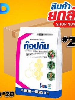 (ยกลัง 20 กิโลกรัม) ท๊อปกัน (เหลือง) สาร แมนโคเซบ 80% WP ขนาด 1 กิโลกรัม ใช้ป้องกันกำจัด โรคแอนแทรสโนส โรคจุด โรคราดำ โรคใบจุดสนิท