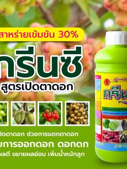 กรีนซี-สาหร่ายเขียวเข้ม 30% สูตรเปิดตาดอก ออกดอกดก ติดผลดี ขยายผลอ่อน เพิ่มน้ำหนักลูก
