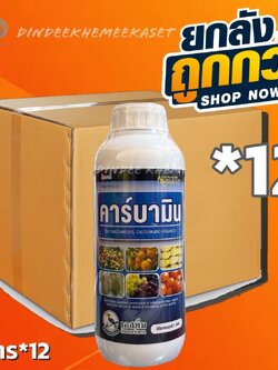 (ยกลัง*12ขวด) คาร์บามิน ธาตุอาหารรองเสริม ขนาด 1 ลิตร แคลเซียม แมงกานีส โบรอน เอสทีมอินเตอร์เทรด