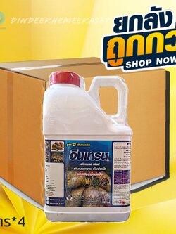(กดสั่งซื้อครั้งละ 1 ลัง! ยกลัง*4) อินเทรน สูตร2 ขนาด 5 ลิตรเพิ่มผลผลิต เพิ่มขนาด เพิ่มสี เพิ่มน้ำหนัก เพิ่ม %แป้ง