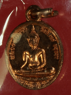 ฺB2856 เหรียญพระพุทธ วัดจันทร์ - หลวงพ่อรวย วัดตะโก อยุธยา ซองเดิม เนื้อทองแดง 50