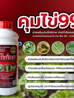 คุมไข่99 -สารBio Oil + ตะไคร้หอม ขนาด 1 ลิตร สารเสริมประสิทธิภาพ สารกำจัดแมลง สารสกัดน้ำมันจากธรรมชาติ