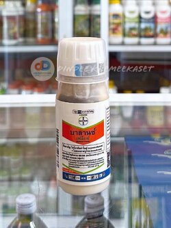 บาลานซ์ ไอซอกซาฟลูโทล (isoxaflutole)……75%WG เป็นสารคุมวัชพืช สำหรับ ข้าวโพด และอ้อย คุมวัชพืชทั้ง ใบแคบ ใบกว้าง กก คุม