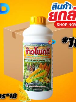 (ยกลัง 18 ขวด) ข้าวโพดดี ขนาด 1 ลิตร รากเเข็งเเรง แตกรากดี ใบหนาเขียวเข้ม