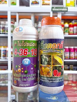 (ชุด2ขวด)ปุ๋ยน้ำ 4-36-10 ขนาด1ลิตร สูตรเตรียมต้นก่อนออกดอก สะสมอาหาร เขียวเข้มเร็ว+ดึงดอกดี สาหร่ายทะเลสูตรเปิดตาดอก