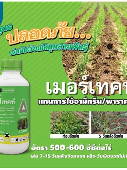 เมอร์เทคท์ สาร มีโซไตรโอน + อะทราซีน ขนาด 1 ลิตร คุม - ฆ่า หญ้ากำจัดวัชพืช ในไร่ ฉีดทับ ข้าวโพดได้