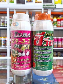 (ชุด2ขวด) ปุ๋ยน้ำ 21-3-3 ขนาด 1 ลิตร ต้นตั้ง แตกยอด อ่อนแตกใบอ่อน ขยายใบ+ซีวีด (SEAWEED) #สาหร่ายสกัดชนิดเข้มข้น ใบเขียว
