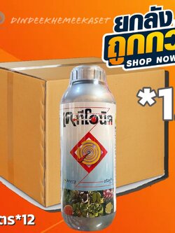 (ยกลัง 12 ขวด) เคทีโอนิค สารฟูลวิค แอชิด 25% ขนาด1 ลิตร - ปรับสภาพดินให้ร่วนซุย เพิ่มการดูดกินปุ๋ย ระบบรากสมบูรณ์