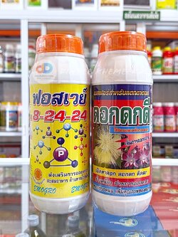 (ชุด2ขวด)ปุ๋ยน้ำ 8-24-24 ส่งเสริมการออกดอก ติดผลดก ลดการหลุดร่วง+ดอกดกดี เบสฟอร์+ อาหารเสริมสารสกัดจสารสกัดจากธรรมชาติ
