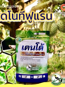 (ยกลังx100ซอง)เคนโด้ :ไดโนทีฟูแรน 20% SG 100กรัม กำจัดเพลี้ยกระโดด เพลี้ยจั๊กจั่น เพลี้ยแป้ง