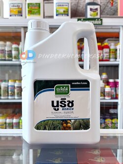 นูริช-แคลเซียมโบรอน 5ลิตร :เจียไต๋ ธาตุอาหารเสริม ช่วยการผสมเกสร ลดการหลุดร่วง และติดผลดีขึ้น