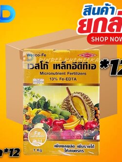 (กดสั่งซื้อครั้งละ 1 ลัง! ยกลัง*12) เวสโก้ เหล็กคีเลตอีดีทีเอ13% เวสโก้ เหล็กอีดีทีเอ Fe-EDTA (Wesco EDTA FE 13%) 1 กก.