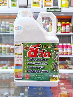ซีวีด (SEAWEED) #สาหร่ายสกัดชนิดเข้มข้น ใบเขียว แตกใบใหม่ ขนาด 5 ลิตร
