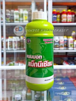 แมมมอท แม็กนีเซียม ขนาด 1 ลิตร ธาตุอาหารพืชที่เป็นองค์ประกอบของคลอโรฟิลล์