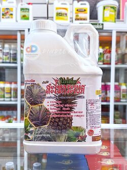 ไอเดีย-สะโพกระเบิด ขนาด 5 ลิตร สารเร่งสะโพก พร้อมออกดอก สูตรพิเศษ