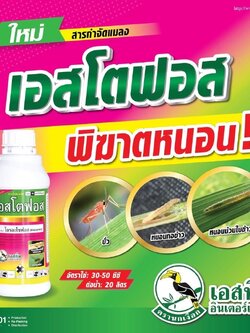 เอสโตฟอส สาร ไตรอะโซฟอส ขนาด 1 ลิตร กำจัดได้ทั้งแมลง หนอน เพลี้ยและไรศัตรูพืช ไส้เดือนฝอย แมลงสิง แมลงบั่ว มวนเขียวข้าว