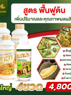 เชตคู่ ชุดใหญ่ แมกม่าลาวา (แมกม่า1000ซีซี1ขวด+ลาวา1000ซีซี3ขวด)