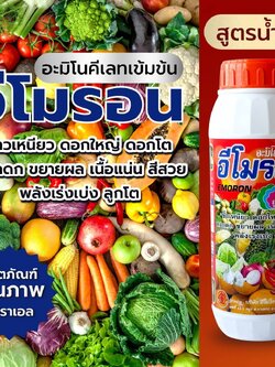 อีโมรอน # อะมิโนคีเลทเข้มข้น ขั้วเหนียว ดอกใหญ่ เนื้อแน่นลูกโต ลูกโต ขนาด 1ลิตร