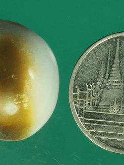 B2365 คดหอย โบราณ 17