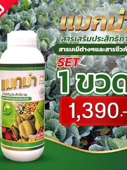 แมกม่า ขนาด1000ซีซี 1ขวด