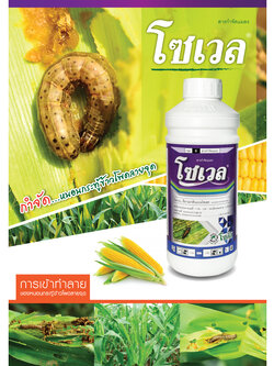 โซเวล - อีมาเมกตินเบนโซเอต 1.92%W/V EC ออกฤทธิ์ทั้งแบบถูกตัวตายและกินตาย