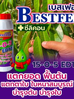 ปุ๋ยน้ำ 15-0-5 + ซิลิคอน EDTA ปุ๋ยน้ำฉีดทางใบ ขนาด 1 ลิตร แตกยอด ฟื้นต้น แตกตาใบ ใบหนาสมบูรณ์ บำรุงต้นและใบ