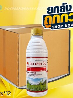(ยกลัง 12 ขวด) วันบายวัน ขนาด 1 ลิตร สารเสริมประสิทธิภาพ ยากำจัดวัชพืช ช่วยให้หญ้าตายเร็วขึ้น