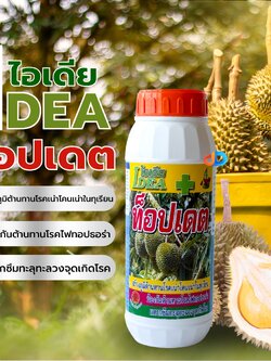 ไอเดีย ท็อปเดต ขนาด 1 ลิตร สร้างภูมิต้านทางโรคเน่าโคนเน่า