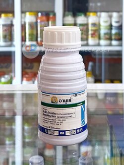 อามูเร่ 250 ซีซี - ไดฟีโนโคนาโซล + โพรพิโคนาโซล ลดโอกาสการเกิดเมล็ดด่าง เมล็ดลีบ เพิ่มโอกาสให้รวงข้าวน้ำเต็มรวง