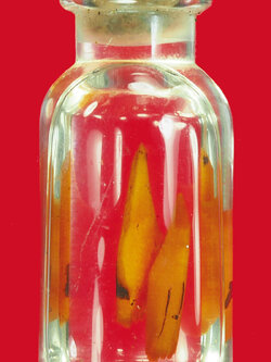 A5025 สาริกาในขวด น้ำมันจันทร์ขาว เก่าไม่ทราบอาจารย์ 12