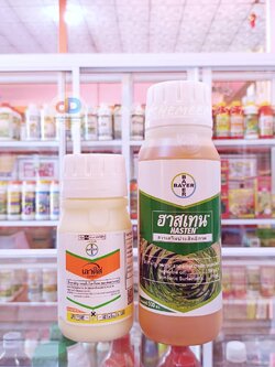 เลาดิส + ฮาสเทน 250ml.+ 500ml. - เทมโปรไตรโอน กำจัดหญ้า วัชพืช ข้าวโพดผี ข้าวฟ่างผี ในไร่ข้าวโพด