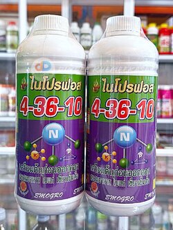 (ชุด2ขวด)ปุ๋ยน้ำ 4-36-10 ขนาด1ลิตร สูตรเตรียมต้นก่อนออกดอก สะสมอาหาร ใบแก่ เขียวเข้มเร็ว