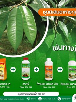ชุดสะสมอาหารทุเรียน พ่นทางใบ อามานี่+โฟแมกซ์สังกะสี+โฟแมกแมกนีเซียม+นูแทค ซุปเปอร์-เค