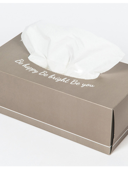 กระดาษเช็ดหน้า RiverPro Facial Tissue 170 Sheets