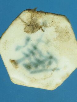 A494 เบี้ยเคลือบโรงบ่อน สภาพพอมีอายุ 16