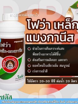 โฟว่าเหล็ก-แมงกานีส ธาตุอาหารพืช ส่งเสริมการผลิดอก แตกตายอดใหม่ ใบเขียวเข้มสมบูรณ์ เร่งการเข้าสี ตราโซตัส ขนาด1ลิตร