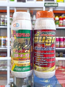 (ชุด 2 ขวด) ปุ๋ยน้ำ 15-8-15 ปุ๋ยน้ำฉีดทางใบ ขนาด 1 ลิตร+โปรโตรนิก (Protonic)-ขึ้นลูก -ขนาด 1 ลิตร