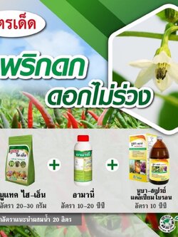 ชุดพริดดก ดอกไม่ร่วง นูแทค ไฮ-เอ็น+อามานี่+นูบา-สเปรย์