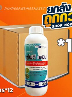 (ยกลัง 12 ขวด) ทูโฟดี เอมีน -2,4- ดี - ไดเมทิลแอมโมเนียม ขนาด1ลิตร วัชพืชประเภทใบกว้าง ผักเบี้ยหิน ผักโขม