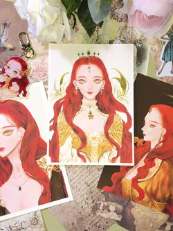 [The Mellow Lily] Collection