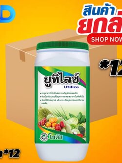 (กดสั่งครั้งละ 1 ลัง!ยกลัง*12กก.) ยูทิไลซ์ (Utilize) ขนาด 1 กิโลกรัม #ธาตุอาหารที่จำเป็นต่อการเจริญเติบโตของพืช