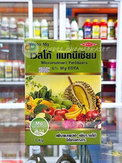 เวสโก้ แมกนีเซียม 1 กิโลกรัม แมกนีเซียมคีเลตอีดีทีเอ 6%