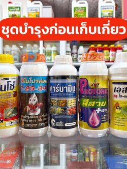 ชุดบำรุงก่อนเก็บเกี่ยว ปุ๋ยน้ำ ฮอร์โมน ยาฆ่าแมลง เชื้อรา เอสทีม & อีโม่โกร