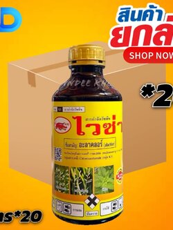 (ยกลัง20ขวด) ไวซ่า - อะลาคลอร์ ขนาด 1 ลิตร ตราเข้แดง ยากำจัดคุมวัชพืช มีพิษต่อพืชต่ำ ฉีดทับผักได้เลย ออกฤทธิ์ยาวนาน