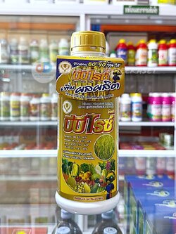 บีบีไรซ์ โกลด์ (เพิ่มผลผลิต) น้ำหนักดี สีสวย เมล็ดใส ขนาดบรรจุ 1 ลิตร