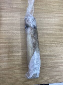 M-00540001 หมึกหอม 550 ก.