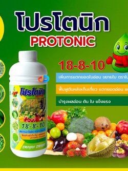 ปุ๋ยน้ำ 18-8-10 + ซิลิคอน ปุ๋ยน้ำฉีดทางใบ ขนาด 1 ลิตร เพิ่มการแตกใบอ่อน ฟื้นฟูต้นหลังเก็บเกี่ยว บำรุงผลอ่อน