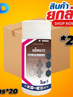 (ยกลัง 20 ขวด) แอ็คนาว คลอโรทาโลนิล 50% W/V SC ขนาด 1 ลิตร ICP รูปแบบครีม ละลายน้ำง่าย ยับยั้งการกระจายของสปอร์เชื้อรา